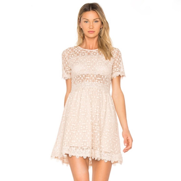 J.O.A. Dresses & Skirts - J.O.A. Lace Short Sleeve Blush Mini Dress